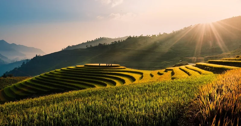 Dépanner quand le riz a raté