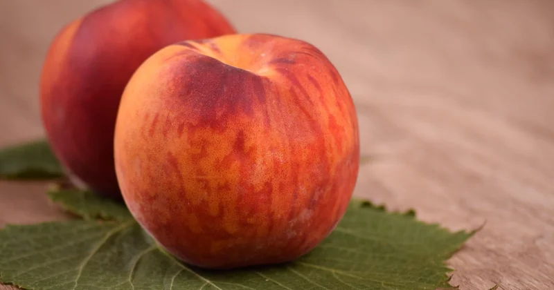 Quels fruits choisir selon votre région en juillet-août
