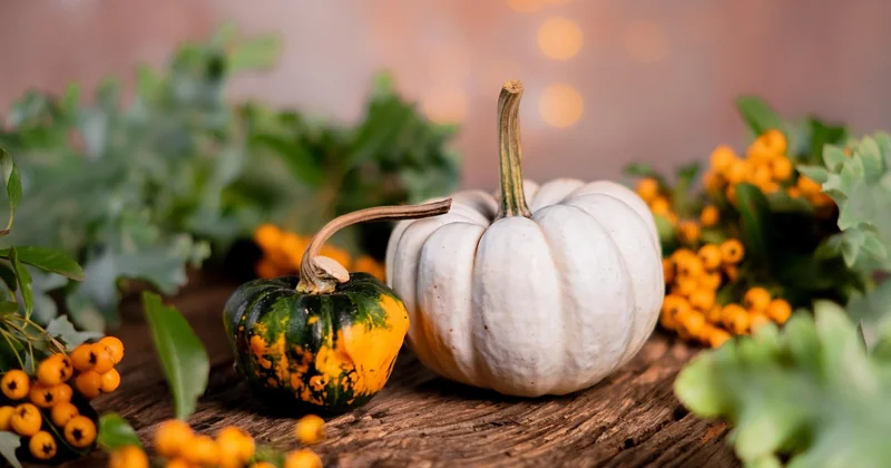 Le calendrier : quel légume à quel moment de l'année