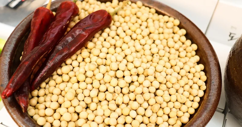 Comment assaisonner le tofu pour qu'il soit vraiment savoureux